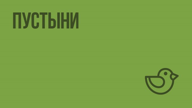 Пустыни. Видеоурок по окружающему миру 4  класс