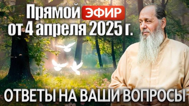 Ответы на Ваши вопросы в прямом эфире с о. Владимиром. 4 апреля 2025 г.