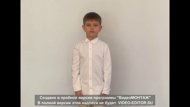 Стихи