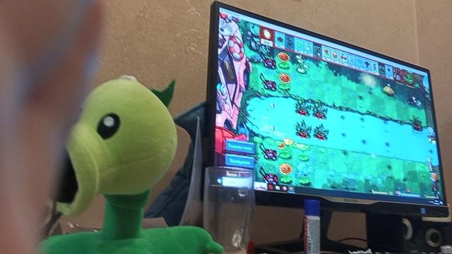 pvz