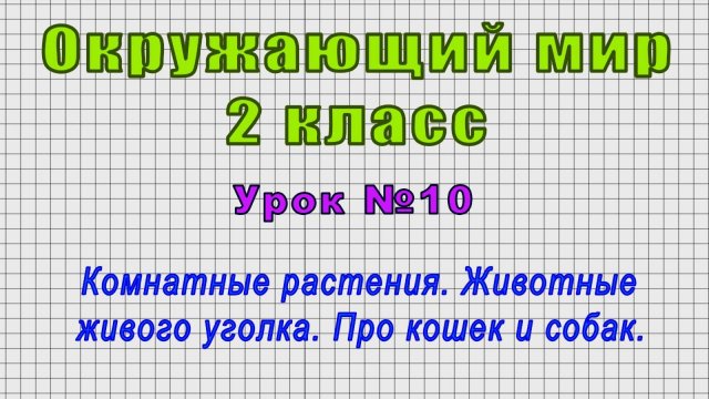 Окружающий мир 2 класс (Урок№10 - Комнатные растения. Животные живого уголка. Про кошек и собак.)