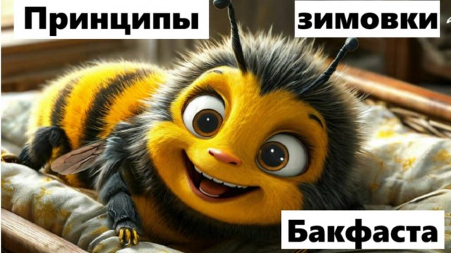 Четыре работы для успешной зимовки Бакфаста