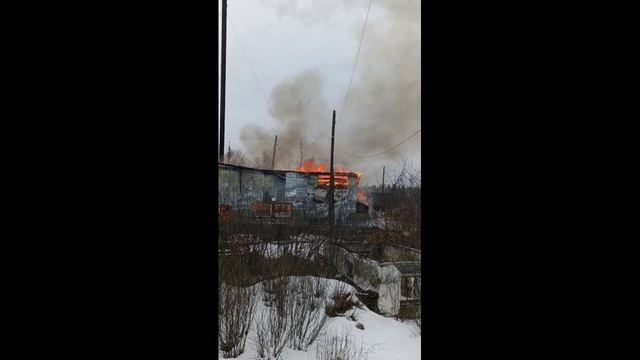 Дима маслеников
