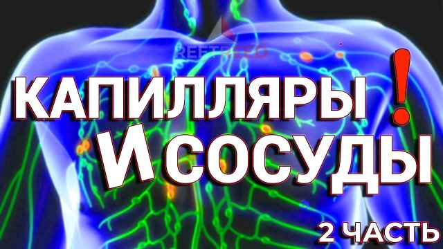 Лимфатические Капилляры и Сосуды: Разбор! Лимфатическая система (Часть 2)