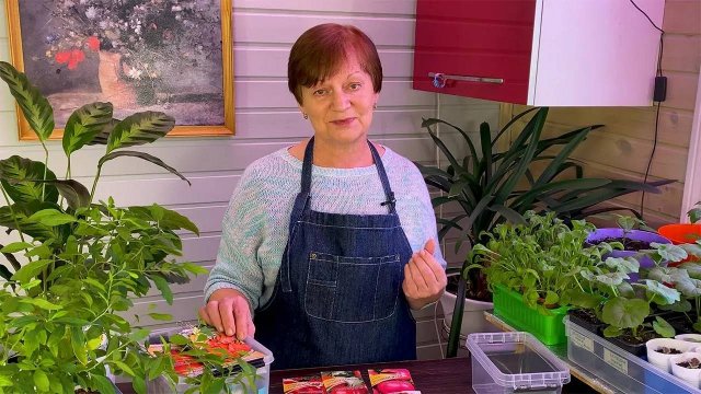 Что просто вырастить на грядках. Какие семена выбрать начинающему огороднику.