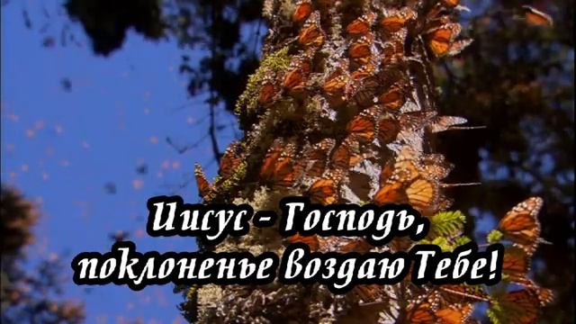 Ксения Лапицкая - Иисус Господь