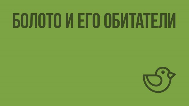 Болото и его обитатели. Видеоурок по окружающему миру 3  класс
