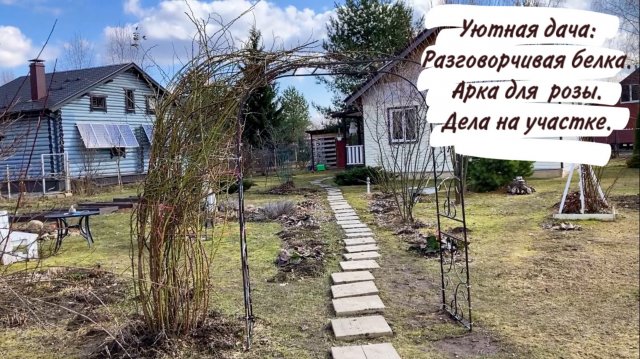 Уютная дача: Разговорчивая белка. Арка для розы. Дела на участке.