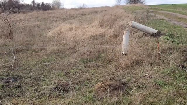 video5452059505909068006