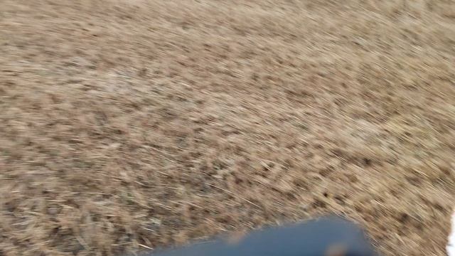 VID_20250405_174159