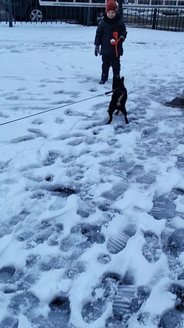 VID_20250407_191418