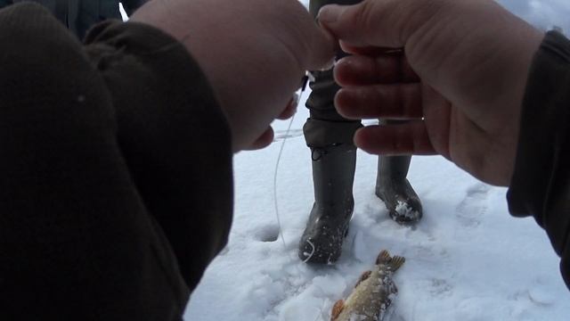 ДЕРЕВНЯ ЛЕКМАРТОВО РЫБАЛКА НА ЖЕРЛИЦЫ ВЗЯЛ ХОРОШУЮ ЩУКУ ПУТЬ НЕ ЛЁГКИЙ ПРОВАЛИЛИСЬ ИСКУПАЛИСЬ