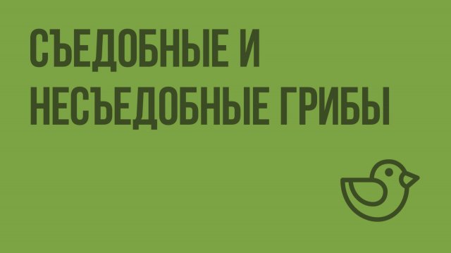 Съедобные и несъедобные грибы. Видеоурок по окружающему миру 1 класс
