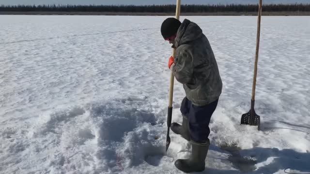 Отшельники на карантине (30 лет одиночества 28 серия)
