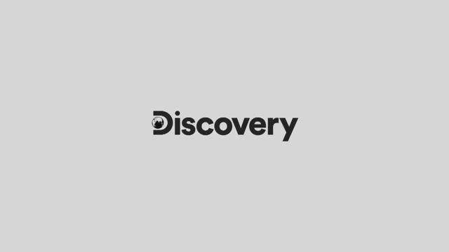 Орех макадамия | Как это устроено? | Discovery