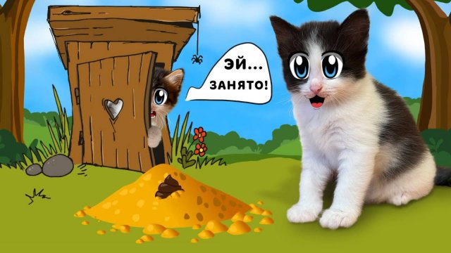 А ну-ка давай-ка | КОТЯТА УЧАТСЯ ХОДИТЬ в ЛОТОК! МАЛЕНЬКИЙ КОТЕНОК ЮГИ и ЯНИ! СМЕШНАЯ КОШЕЧКА ИСА