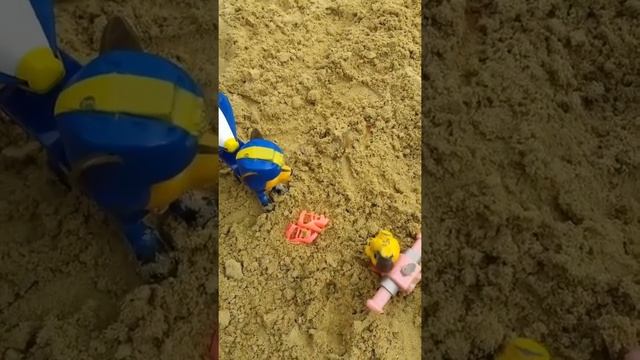 Щенки спасают Скай