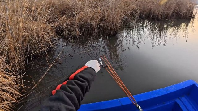 Рыбалка на рогатку! Настрелял на рогатку сазанов 🐠🐋🐟