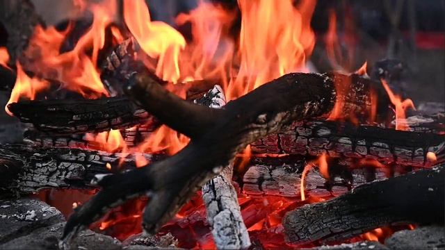 Режиссёр твоей жизни