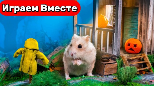 Лабиринт для Хомяка 🐹 Умный Хомяк - побег из жуткого лабиринта Дома Охотника ! Видео для детей