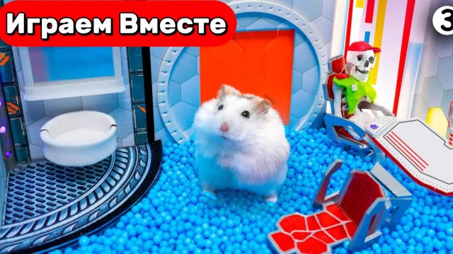 Лабиринт для Хомяка ! Умный хомяк проходит КОСМИЧЕСКИЙ ЛАБИРИНТ С ЛОВУШКАМИ 🚀🐹