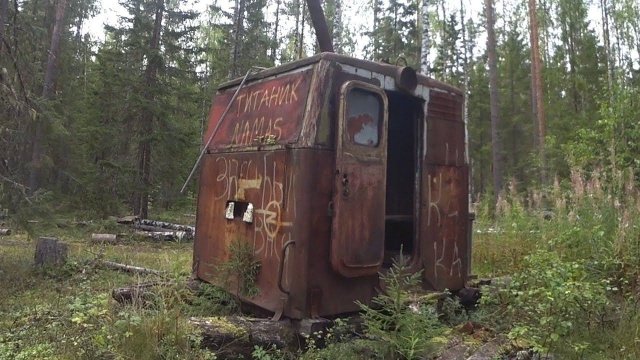 Ради этого стоило ехать за 100 км. В лес за ГРУЗДЯМИ!
