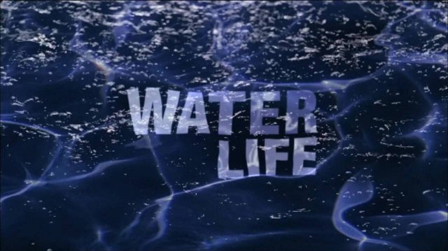 26 сезон 8 серия | Полезная вода | Водная жизнь