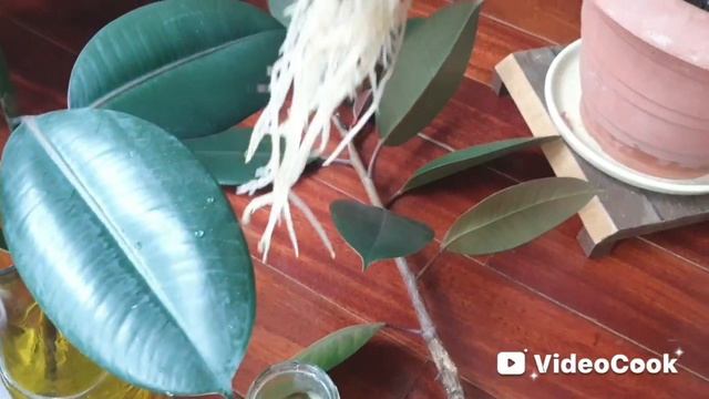 18. Фикус, как пробудить почки! Черенки
фикуса укорененные, посадка.