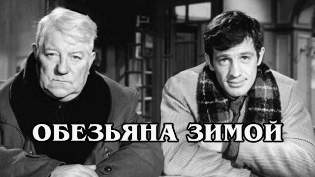 Обезьяна зимой
