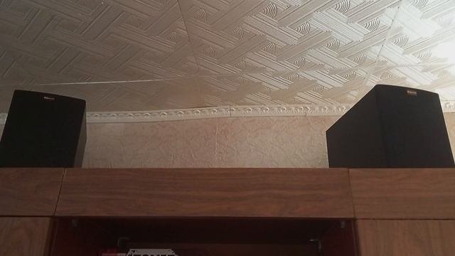 VID_20250411_165654