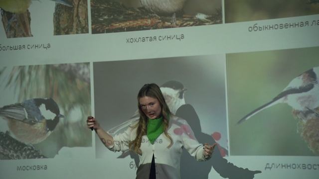 Экоцентр "Лесная сказка"