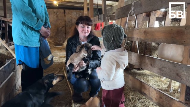 Семья Летягиных: секрет семейного счастья – в общем деле