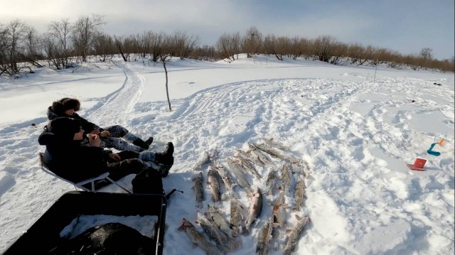 На рыбалку за зубастыми щуками. Ловля на живца. 12.04.2024