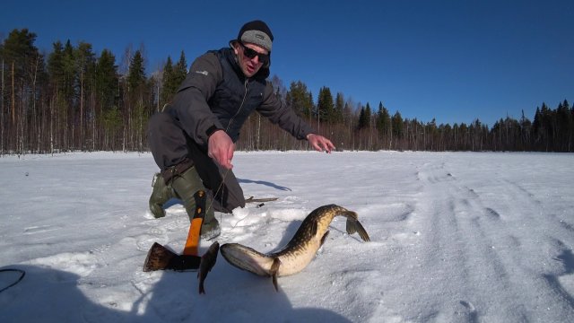 Рыбалка на Щуку. Самоловки в деле. Стабильное Озеро)
