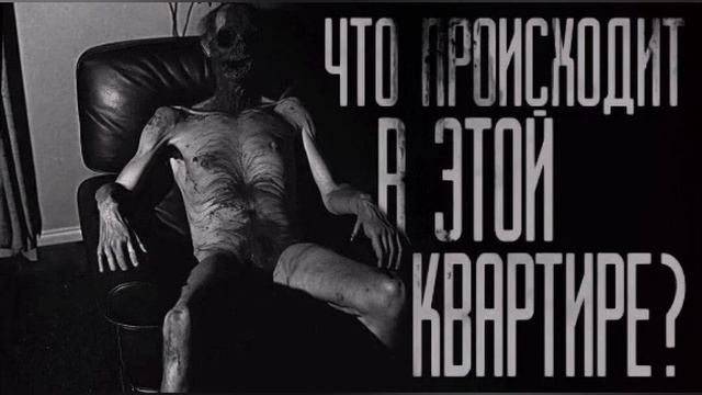 что происходит в этой квартире бусти кот бегемот