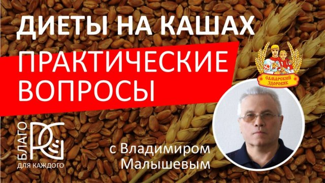 ДИЕТЫ НА КАШАХ: ПРАКТИЧЕСКИЕ ВОПРОСЫ | Владимир Малышев | разработчик Самарский здоровяк 11.04.25г.