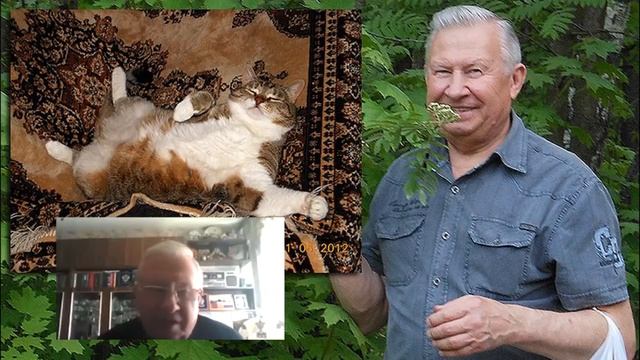 Борис Ратников Про котов и кошек