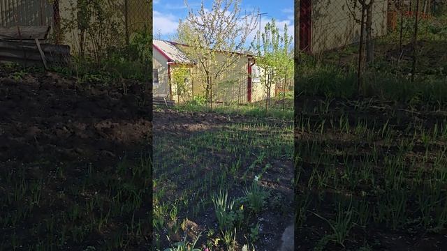 VID_20250406_164618