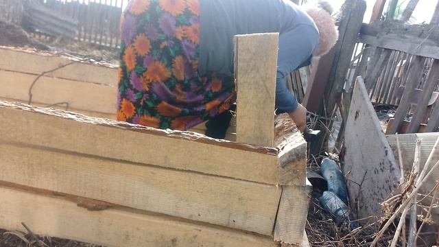 Жизнь женщины в Сибири! Строю теплую грядку для помидор!