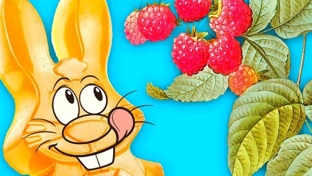 КАК ЖЕЛЕЙНЫЙ ЗАЯЦ ХАРИТОН МАЛИНУ СОБИРАЛ