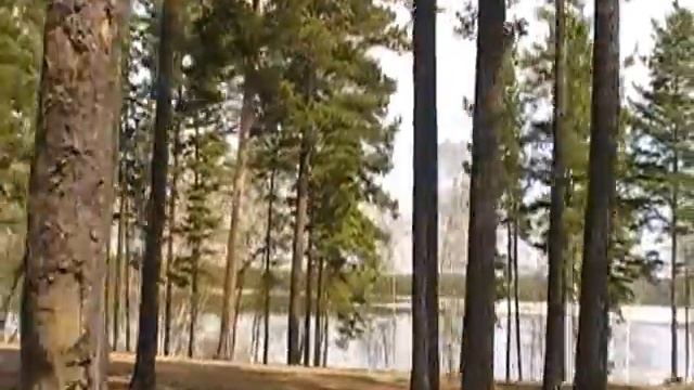 Озеро Баранчеевское