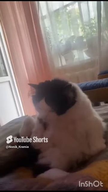 1000169941.mp4 рука-лицо