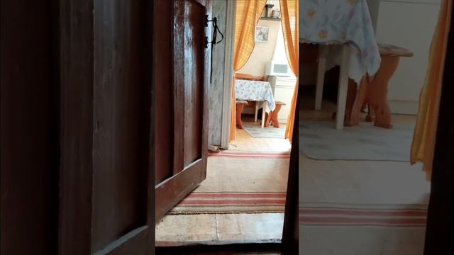 VID_20250413_165053
