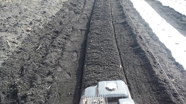 как я делаю бугры для посадки клубники, бугры для клубники