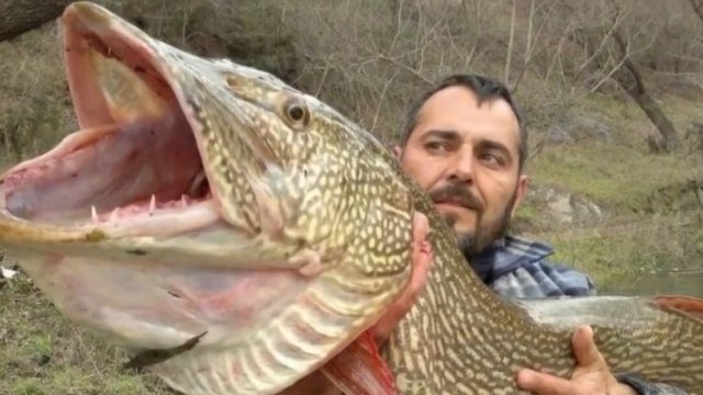 11 СПОСОБОВ ПОЙМАТЬ ЩУКУ! 🐠🐋🐟