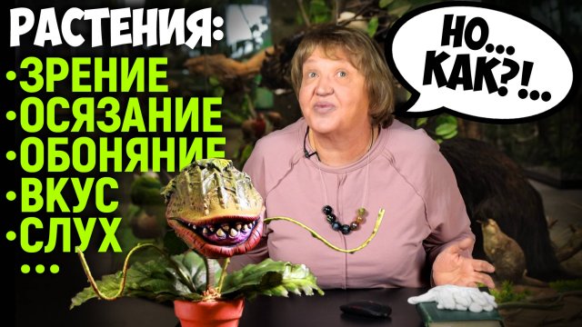Поведение растений. Татьяна Николаевна Бибикова