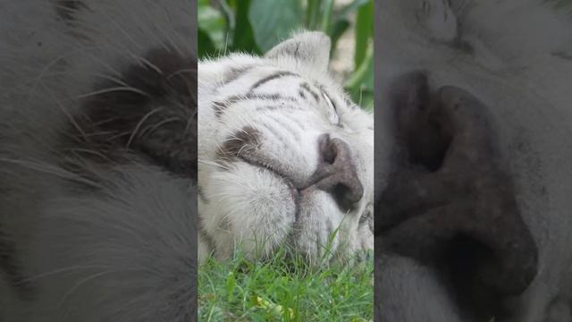 остров счастья