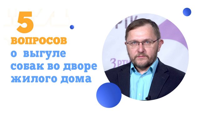 5 вопросов о выгуле собак во дворе жилого дома
