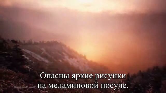 Меламиновая посуда провоцирует рак и разрушает почки  — Статья