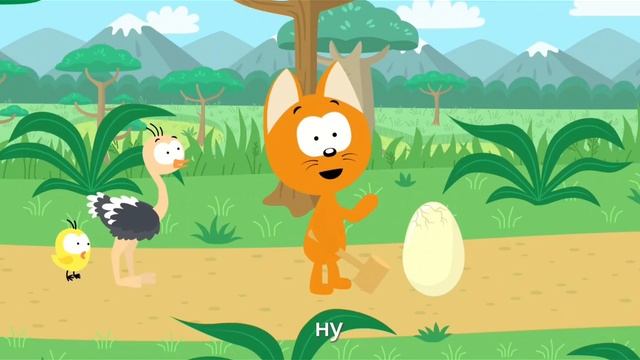 яйки и котэ